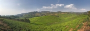 Bwindi-Rwanda